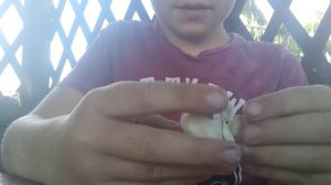 Видео урок как слепить Голден Фредди из пластилина маску