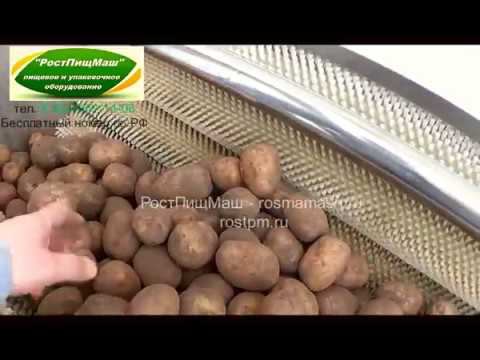 Машины мягкой мойки-полировки картофеля GB от РостПищМаш