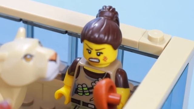 $1 Vs $1000 LEGO MYSTERY Box...