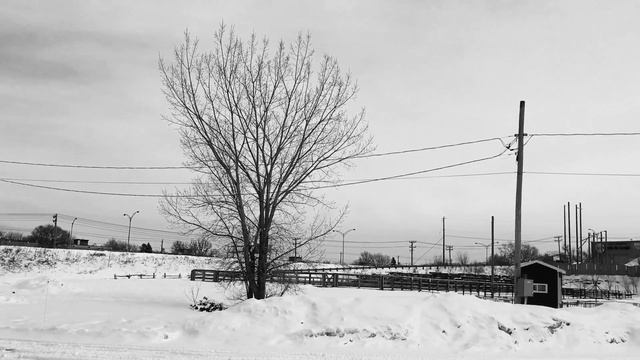 Sonnet projet XLIII смотреть онлайн