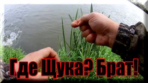 Ловля щуки на живца. К такому я не был готов. Рыбалка на Оке.