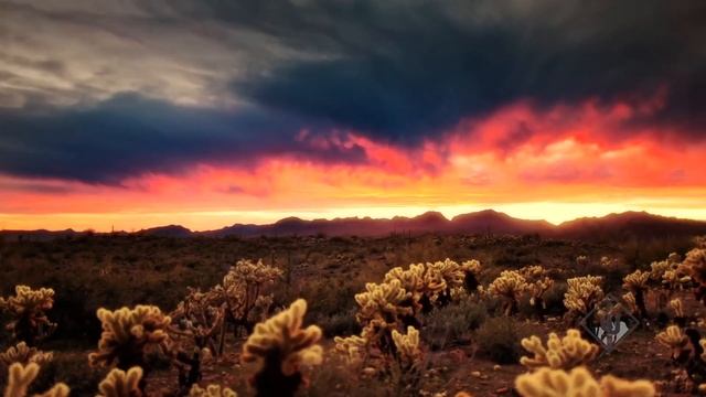 Project Aurora. смотреть онлайн