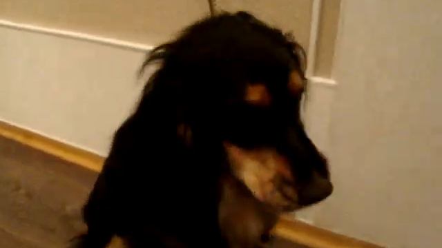 Вернись! Я всё прощу! смотреть онлайн