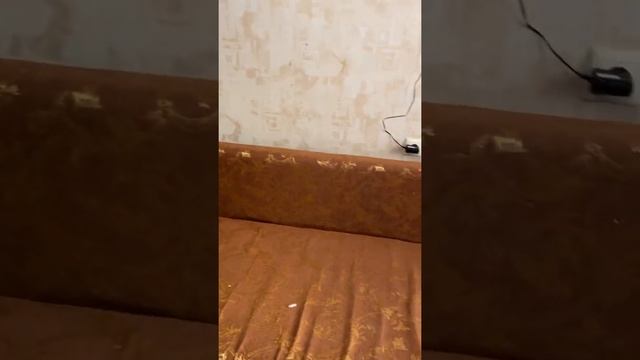 Студия в частном секторе г. Раменское ул. Новостройки смотреть онлайн