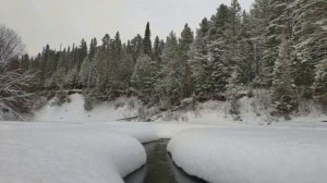 Календарь праздников 26 декабря