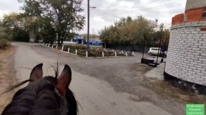 Село Пресногорьковка.