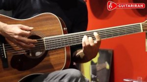 Fender Paramount series PM-1 All mahogany - Babak Akhoondi