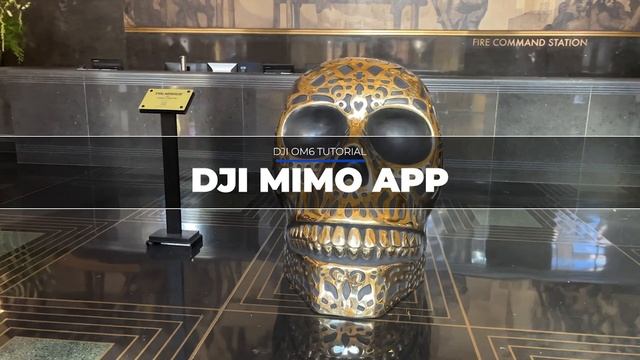 DJI OSMO MOBILE 6 TUTORIAL for Beginners: How to Setup and Use Features: FULL GUIDE смотреть онлайн