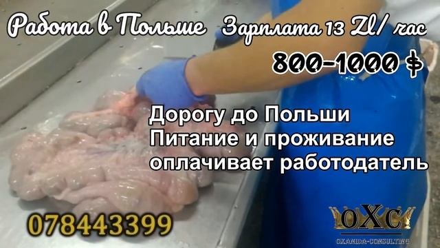 ПРОИЗВОДСТВО НАТУРАЛЬНОЙ ОБОЛОЧКИ ДЛЯ КОЛБАС. ЗП 800-1000$ (13ZL/час). Работа в Польше.