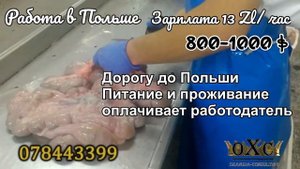 ПРОИЗВОДСТВО НАТУРАЛЬНОЙ ОБОЛОЧКИ ДЛЯ КОЛБАС. ЗП 800-1000$ (13ZL/час). Работа в Польше.