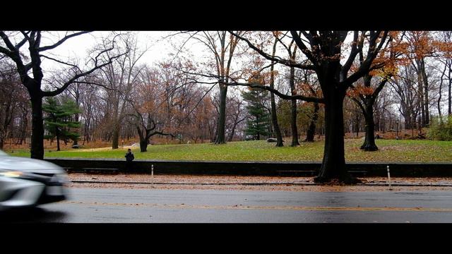 Jazzmaster Player Series | 1964 Fender Princeton смотреть онлайн