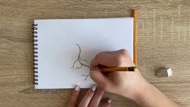 Как нарисовать вены карандашом | Рисунок для начинающих поэтапно