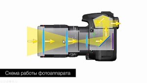Принцип работы зеркального фотоаппарата