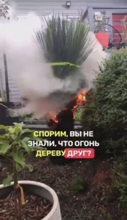В ОГНЕ НЕ ГОРЯТ🔥😱