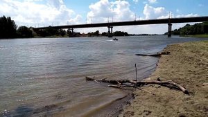 Меркури 5 л.с. 4 такта после обкатки. Скорость не замеряли. 30 км/час есть?