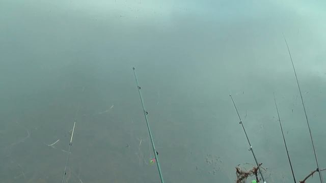 Славянск рыбалка мой контент! смотреть онлайн