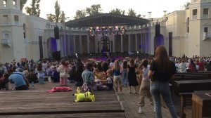 Миа Бойка - саламандра