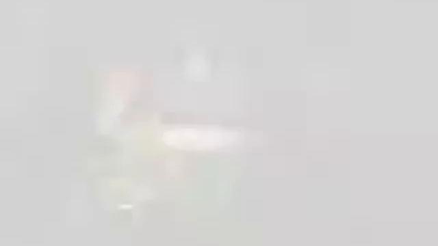 STALKER Все мутанты которые попадаются в игре