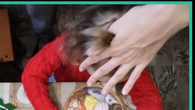Прическа для девочки на короткие, тонкие волосы в сад