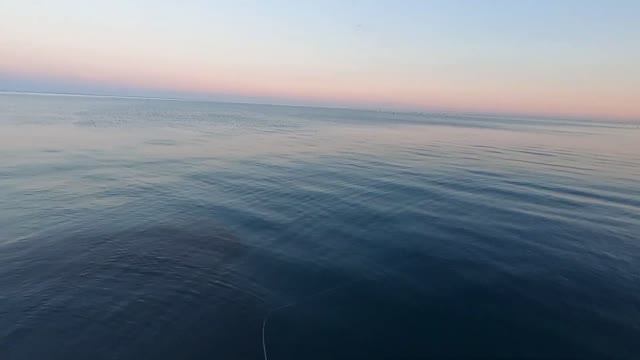 Рыбалка на Черном Море. Ловля Ставриды на Самодур с Берега.