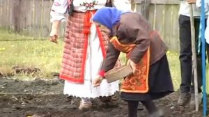 Процесс посадки и обработки льна - Посадка льна под тяпку (05)