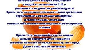 Отвар луковой шелухи, польза и вред Применение