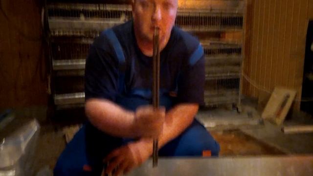 Ограждение для цыплят, мобильный курятник смотреть онлайн