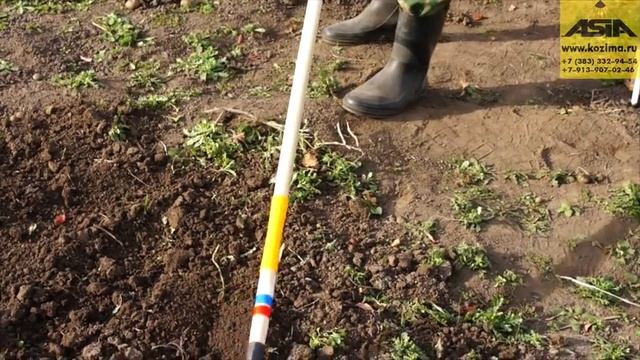 НПК "Азия" смотреть онлайн