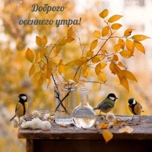 Доброе Утро! Утро Началось! Позитив с утра!