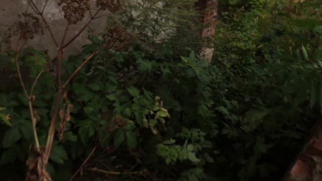 Подмоклово: заброшенная усадьба князей Долгоруких и церковь Рождества Богородицы на реставрации смотреть онлайн