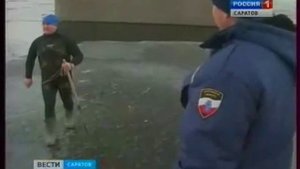 В Волге пропала рыба. Экологи бьют тревогу