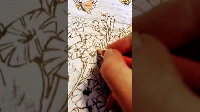 coloring  buttercup flower 🌸👍subscribe