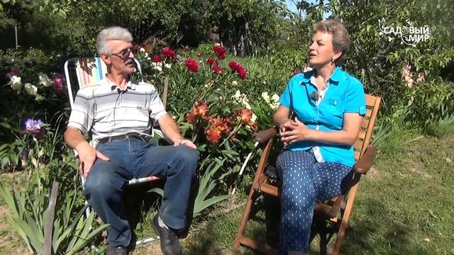 Самые шикарные коллекционные пионы для вашего сада смотреть онлайн