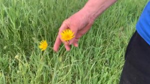 природа нашей любимой ЛУГАНЩИНЫ...наслаждайтесь!!!!