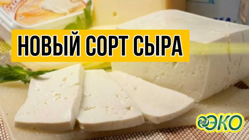 Готовим новый сорт сыра с Кумицким Олегом Петровичем.