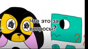 Вопросы к @Raccoon_904