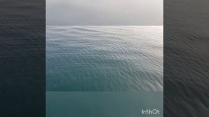 Рыбалка в Приморском крае Ливадия