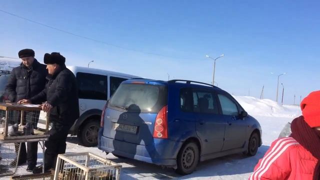 Ярмарка голубей. в г. Костанай.  2021год. Часть 2.