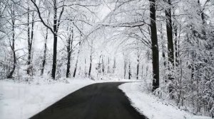 Жека Попутчица