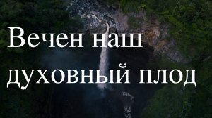 ?Стихотворение? /// ?? Только одна жизнь??/// ?Сергей Куркин?