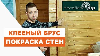 Покраска стен в доме из клееного бруса  Лесобаза.рф в Санкт-Петербурге