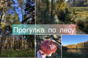 Прогулка по лесу