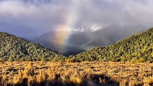 Молитва Оптинских старцев на день грядущий смотреть онлайн
