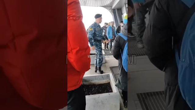 В Пулково ведут мигрантов на депортацию.#мигранты,#полиция.