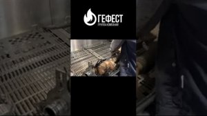 Очистка Катализатора. Удалять или не удалять - однозначно оставлять!