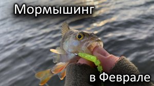 ПЕРВЫЙ ОПЫТ МОРМЫШИНГА ЗИМОЙ! ЖОР ОКУНЯ Рыбалка в феврале на Москва - реке