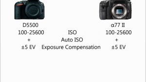 Nikon D5500 vs Sony α77 II