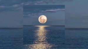 Жалгыз океандын ортосунда 💘