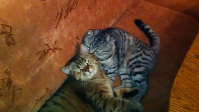 Somewhere only we know смотреть онлайн