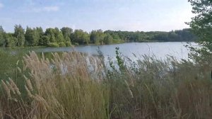 пруд_Зелененький 02